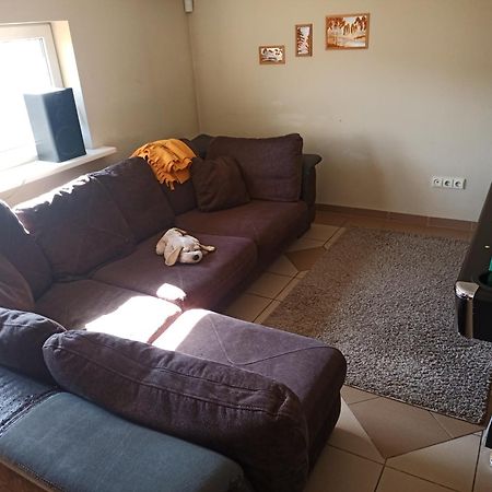 Vilnius Cat Friendly Appartement Buitenkant foto