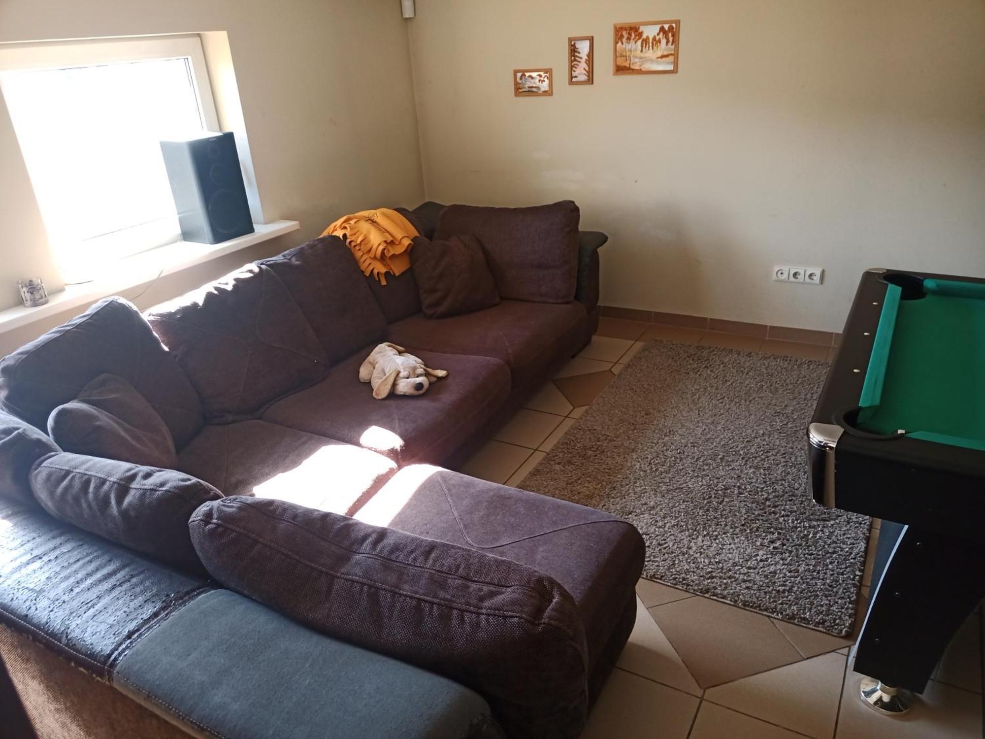 Vilnius Cat Friendly Appartement Buitenkant foto